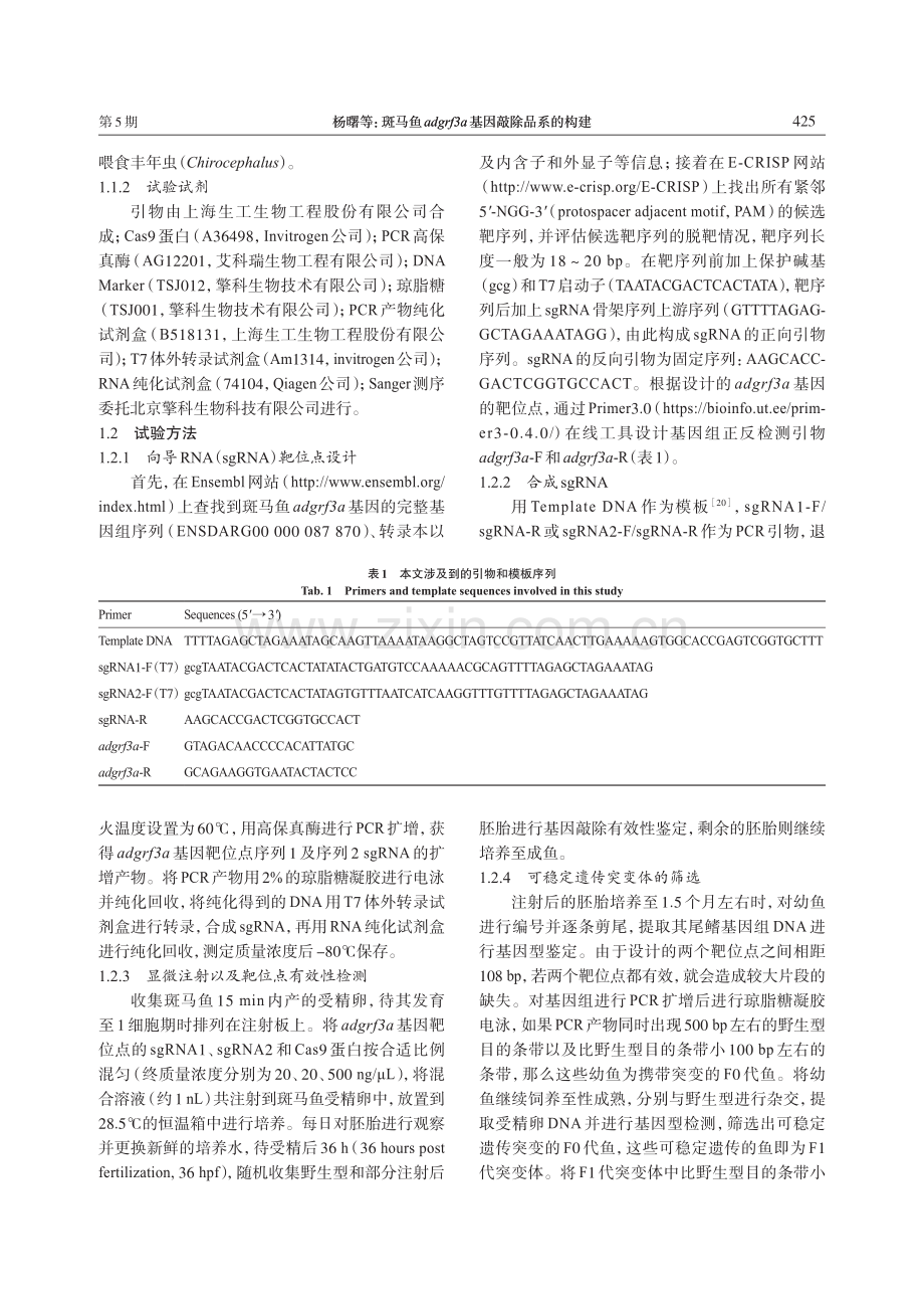 斑马鱼adgrf3a基因敲除品系的构建.pdf_第3页