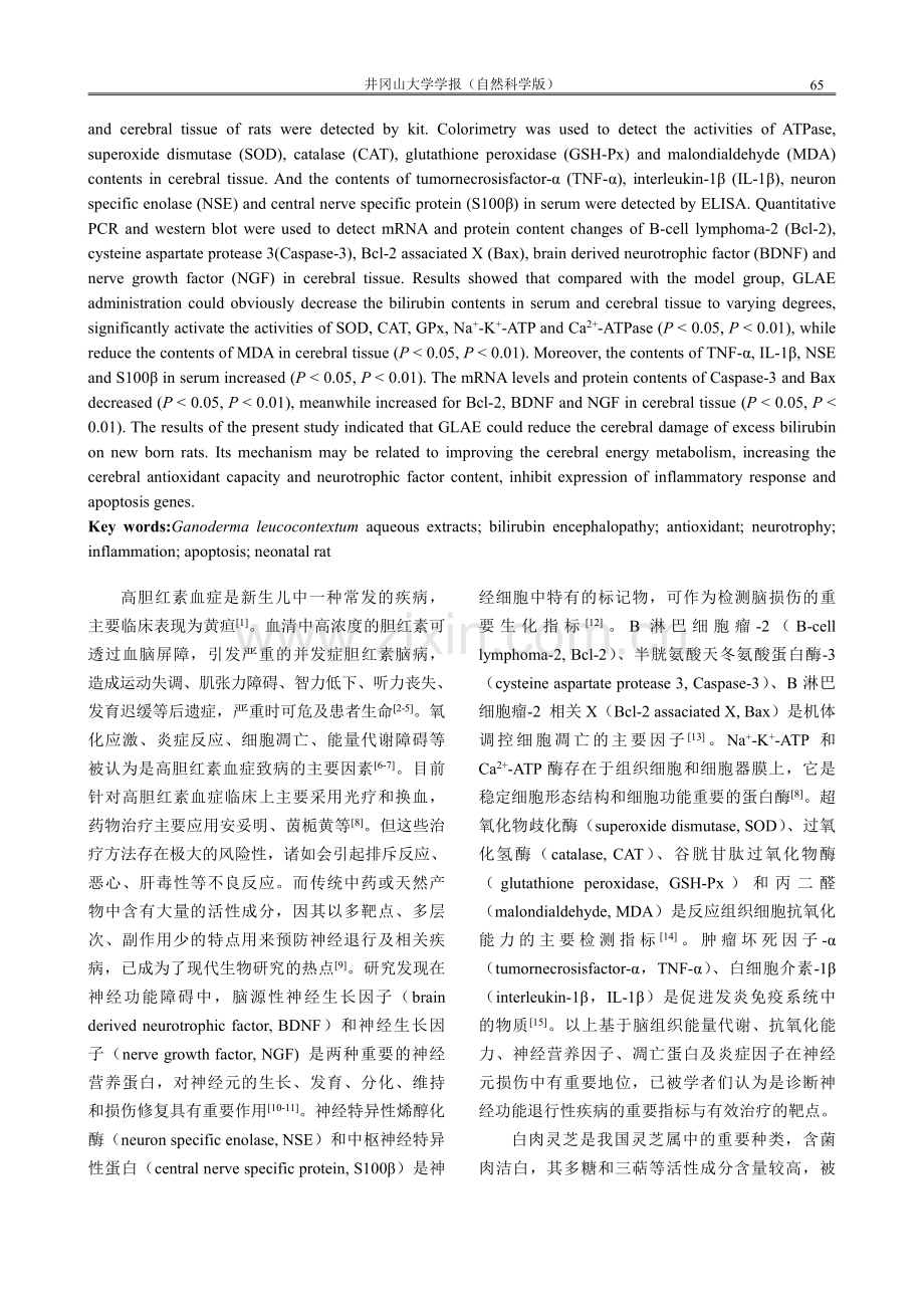 白肉灵芝水提物对新生大鼠胆红素脑病的影响.pdf_第2页