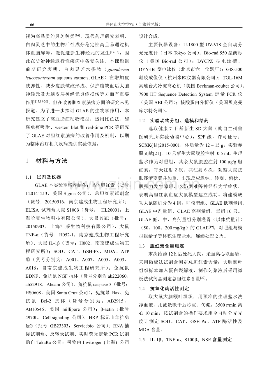 白肉灵芝水提物对新生大鼠胆红素脑病的影响.pdf_第3页