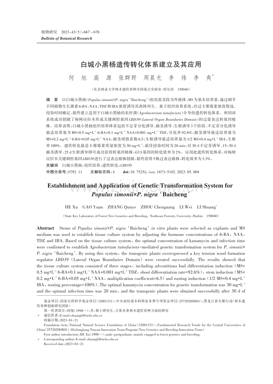 白城小黑杨遗传转化体系建立及其应用.pdf_第1页