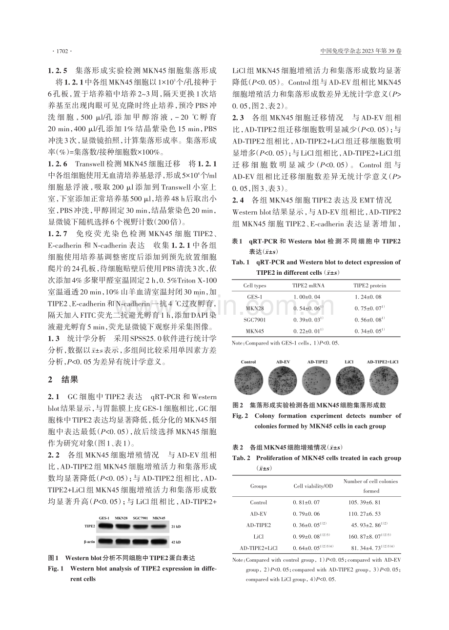 TIPE2过表达调控Wnt_β-catenin抑制胃癌细胞增殖、迁移和EMT.pdf_第3页