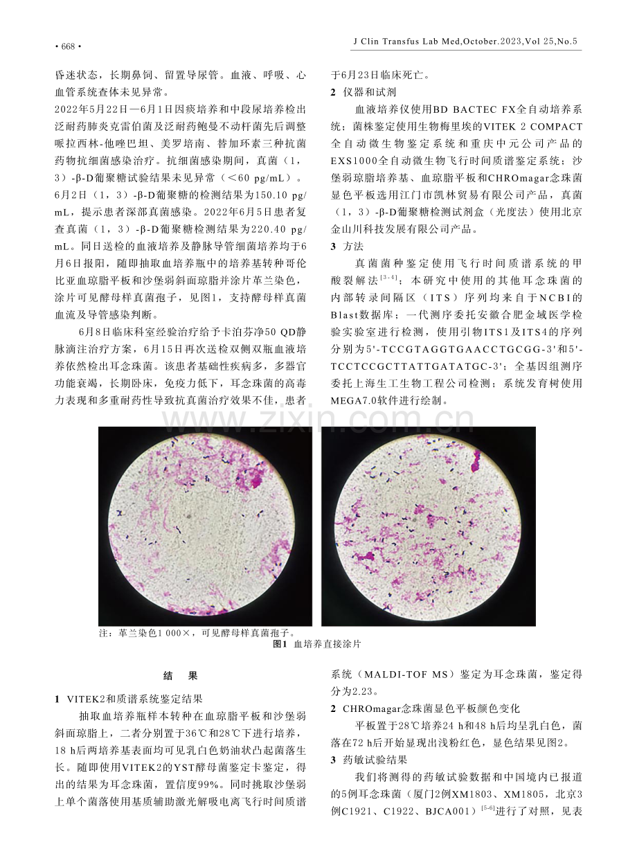 安徽铜陵地区首例血流感染耳念珠菌的耐药性及溯源分析.pdf_第2页