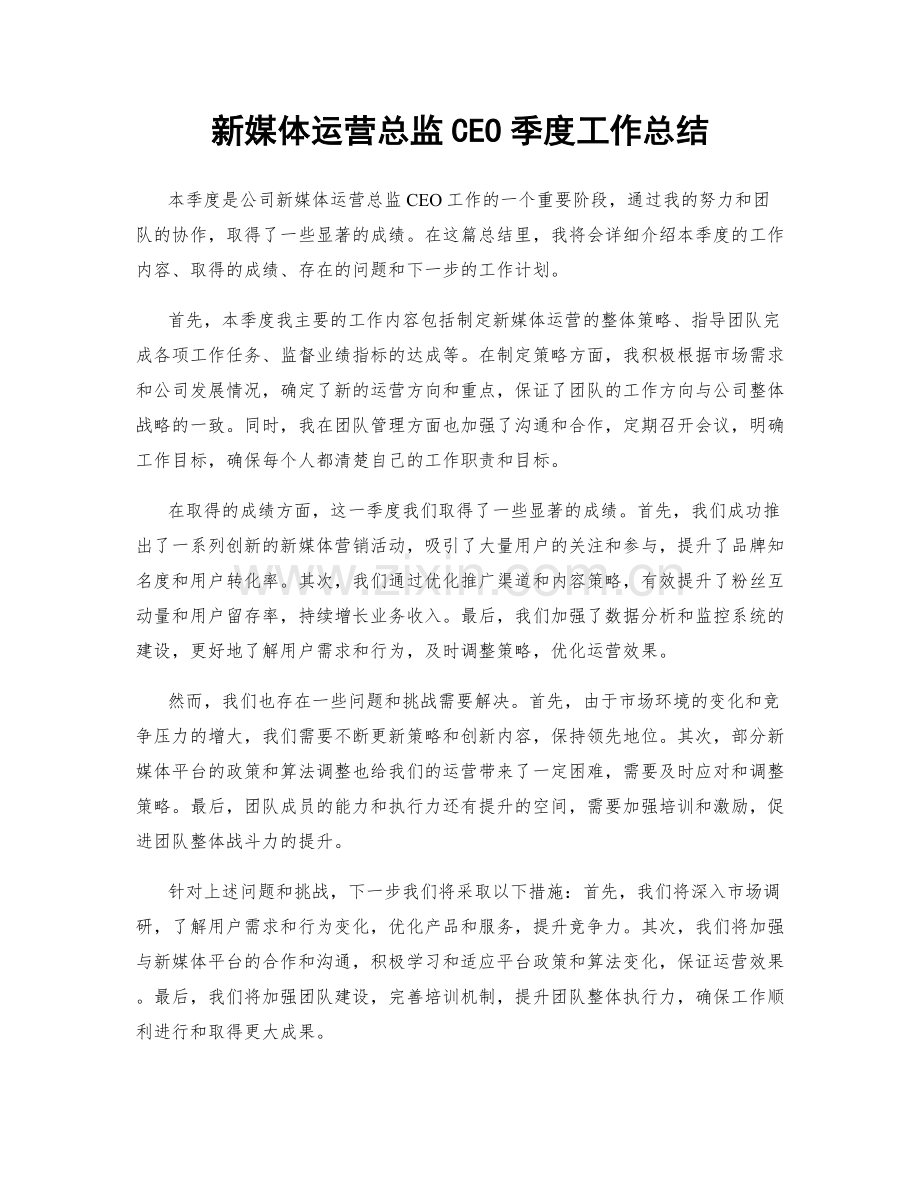 新媒体运营总监CEO季度工作总结.docx_第1页