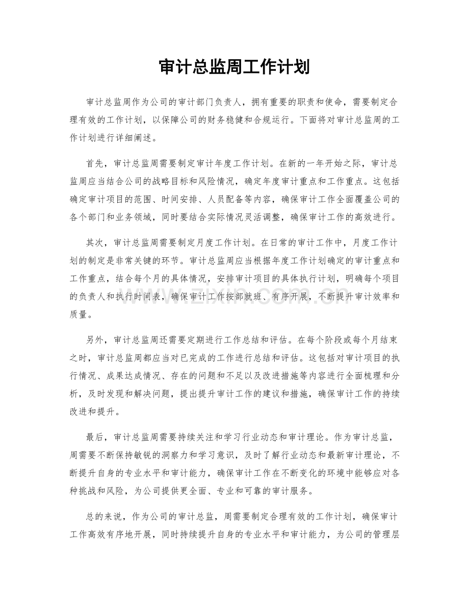 审计总监周工作计划.docx_第1页