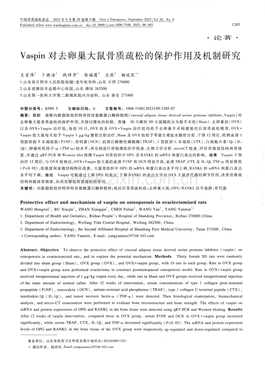 Vaspin对去卵巢大鼠骨质疏松的保护作用及机制研究.pdf_第1页