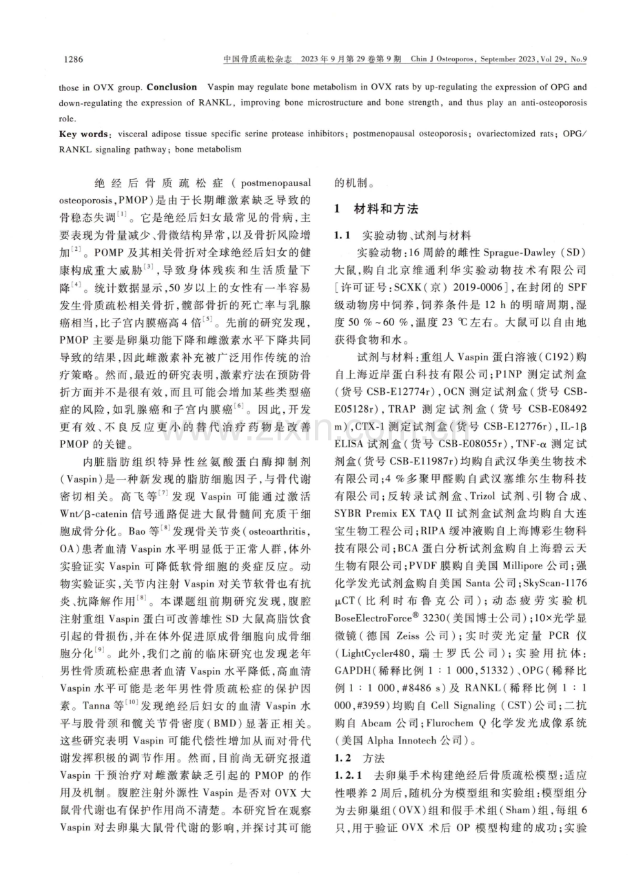 Vaspin对去卵巢大鼠骨质疏松的保护作用及机制研究.pdf_第2页