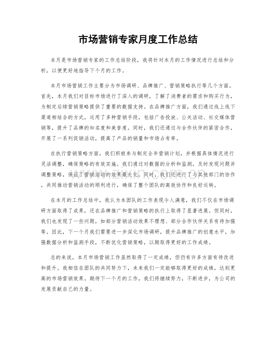 市场营销专家月度工作总结.docx_第1页