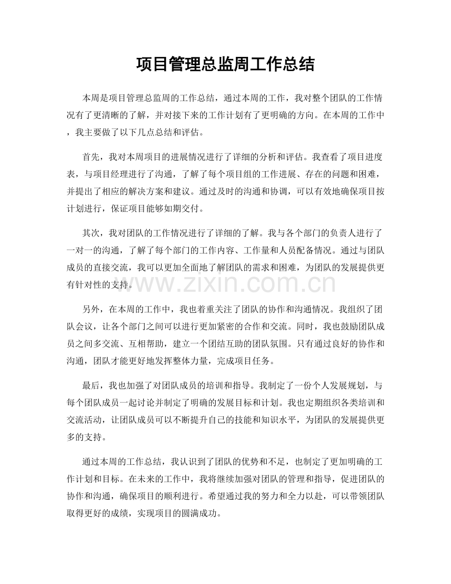 项目管理总监周工作总结.docx_第1页