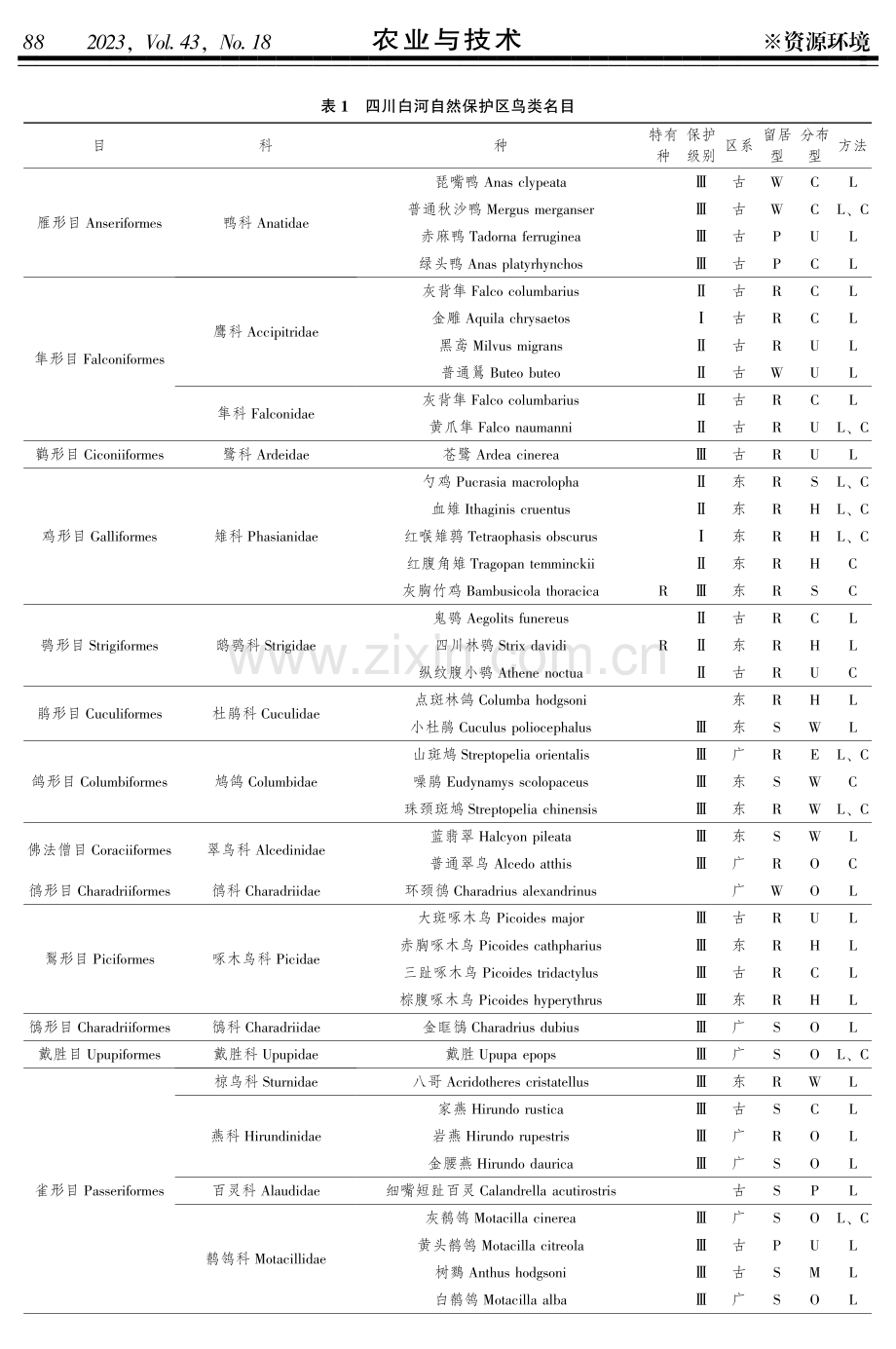 白河国家级自然保护区鸟类多样性分析——基于样线法和红外相机技术.pdf_第3页