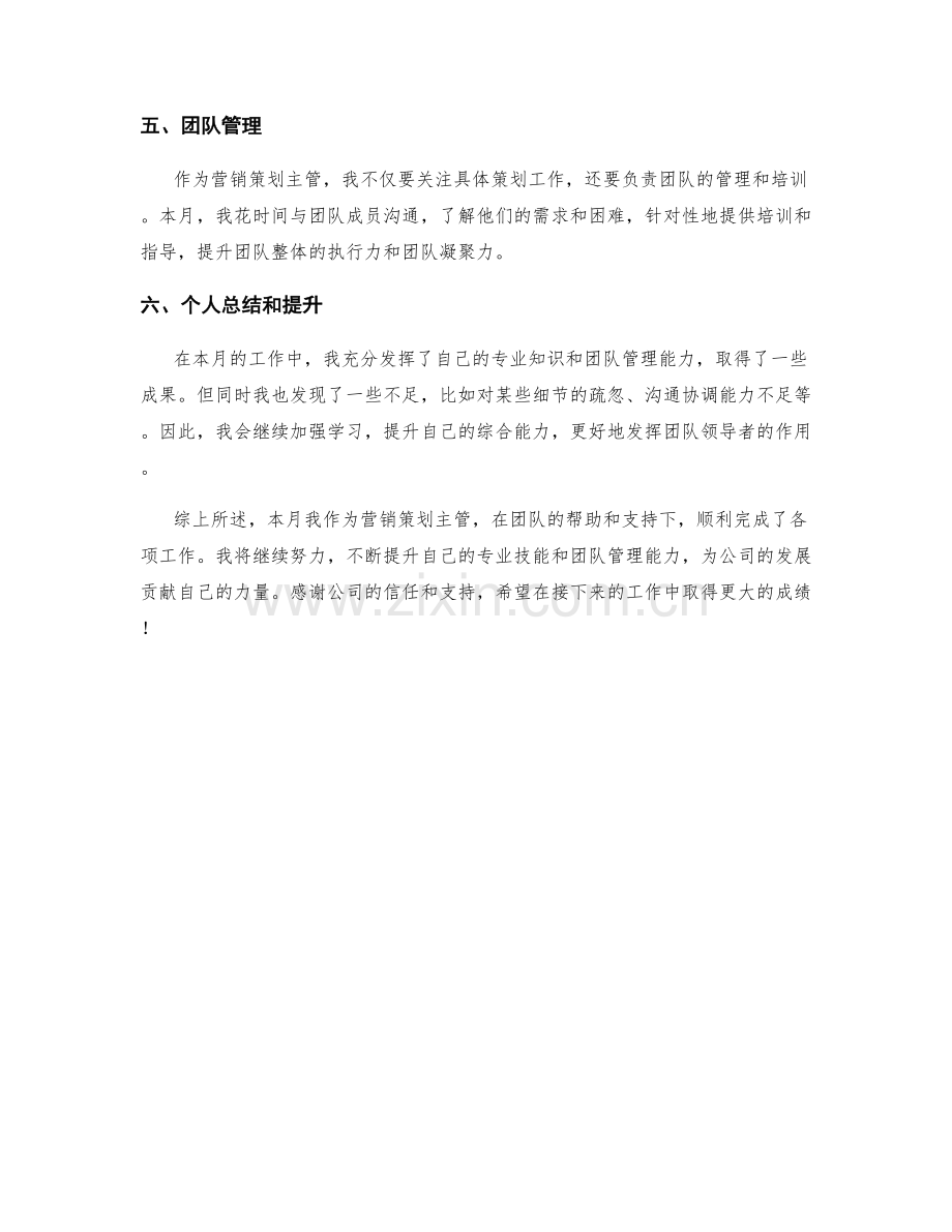 营销策划主管月度工作总结.docx_第2页