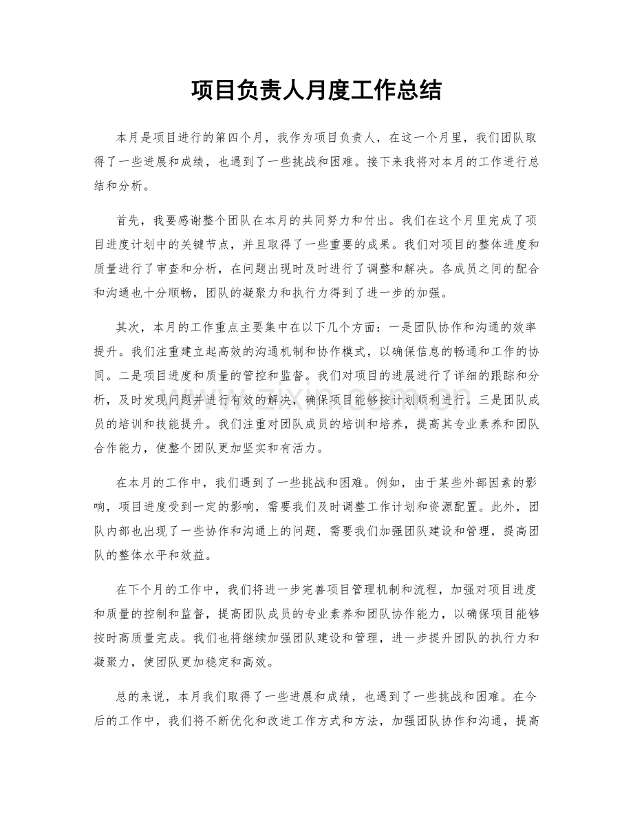 项目负责人月度工作总结.docx_第1页