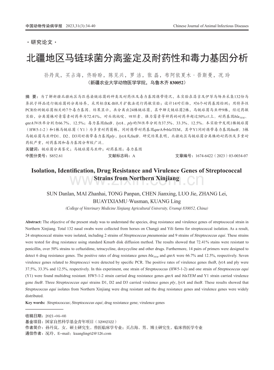 北疆地区马链球菌分离鉴定及耐药性和毒力基因分析.pdf_第1页