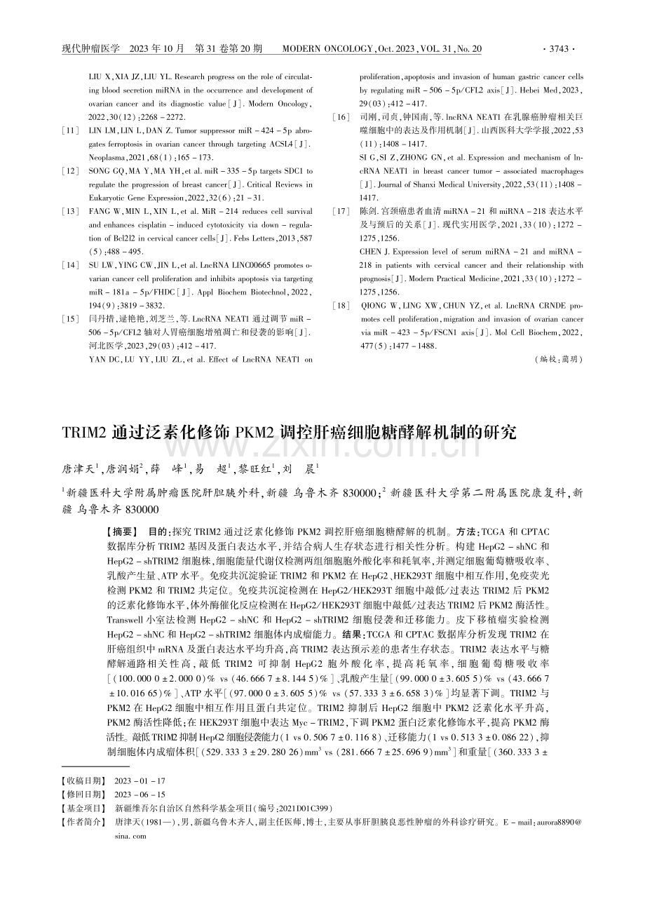 TRIM2通过泛素化修饰PKM2调控肝癌细胞糖酵解机制的研究.pdf_第1页