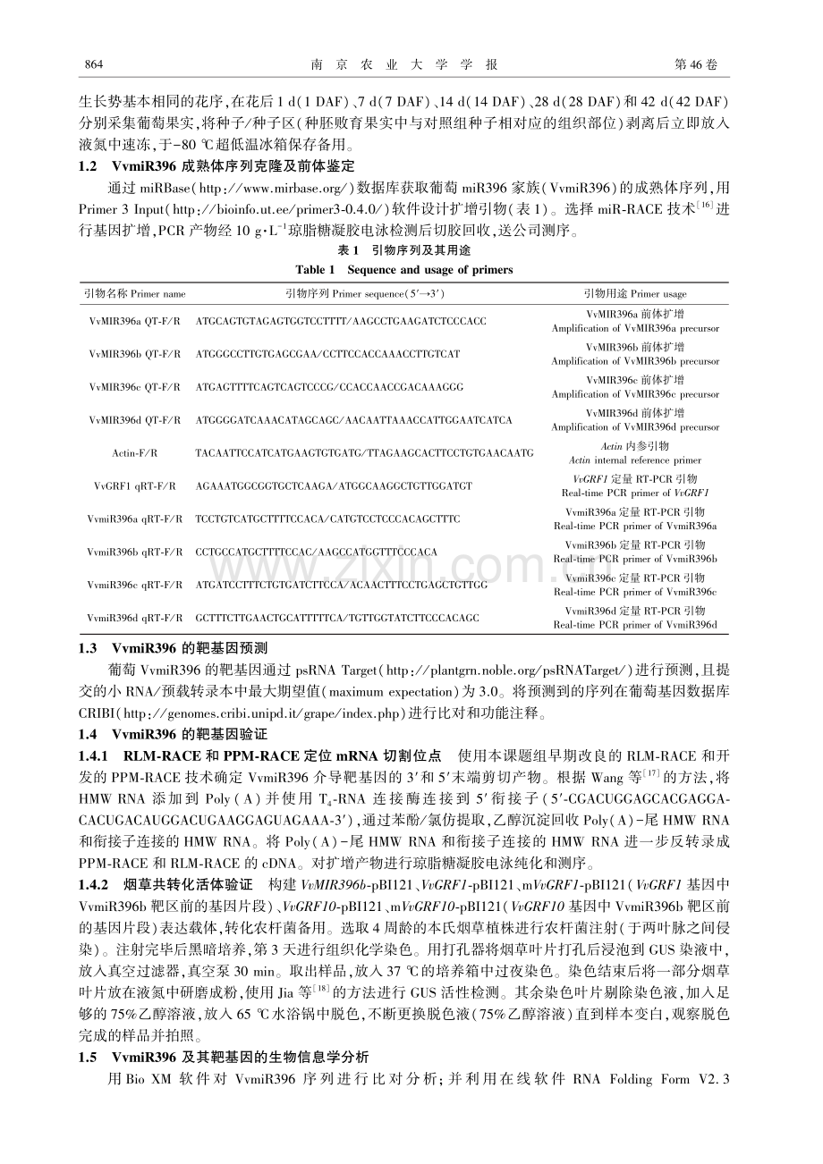 VvmiR396及其靶基因VvGRF1在葡萄种子发育过程中的表达分析.pdf_第3页