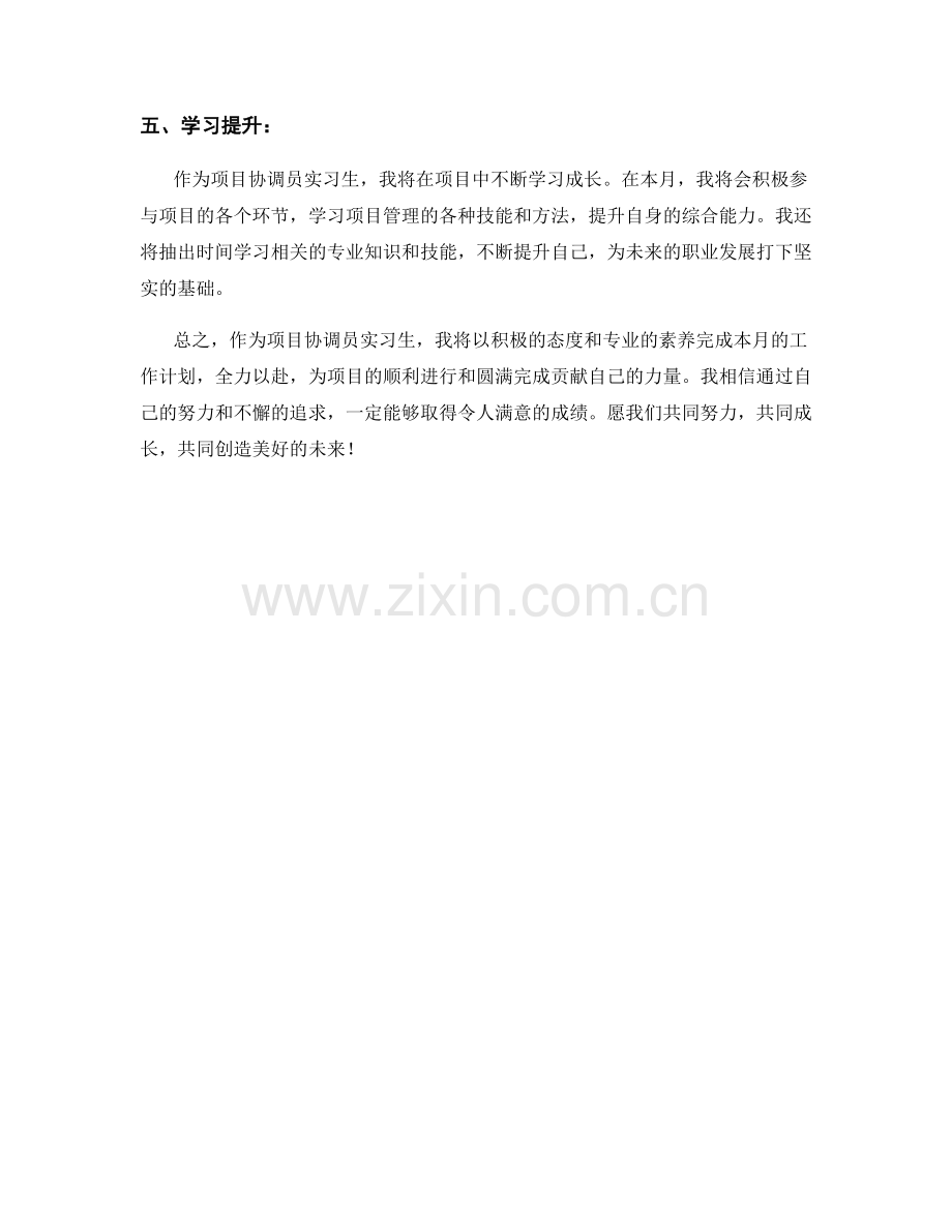 项目协调员实习生月度工作计划.docx_第2页