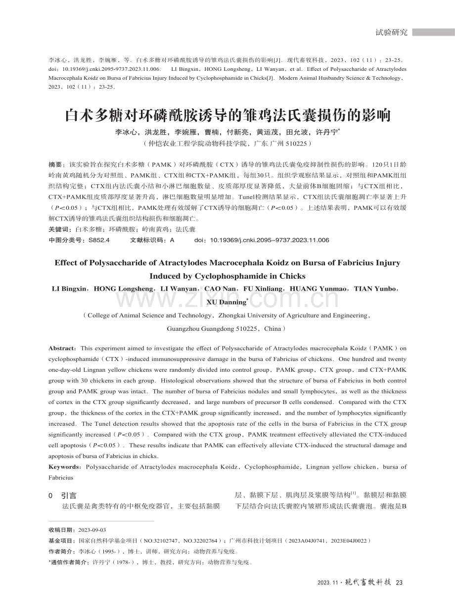 白术多糖对环磷酰胺诱导的雏鸡法氏囊损伤的影响.pdf_第1页