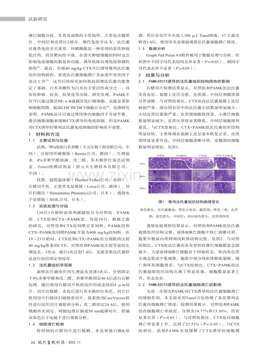 白术多糖对环磷酰胺诱导的雏鸡法氏囊损伤的影响.pdf_第2页