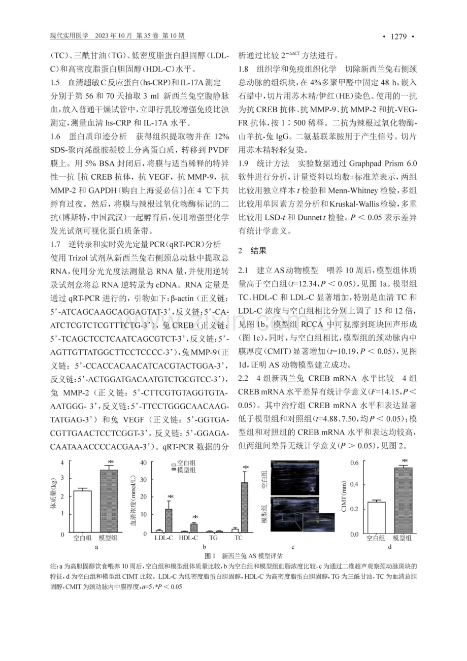 UTMD联合抑制CREB基因促进动脉粥样硬化斑块稳定性的实验研究.pdf_第3页