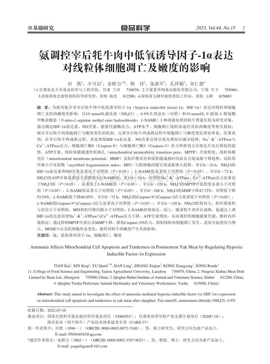 氨调控宰后牦牛肉中低氧诱导因子-1α表达对线粒体细胞凋亡及嫩度的影响.pdf_第1页