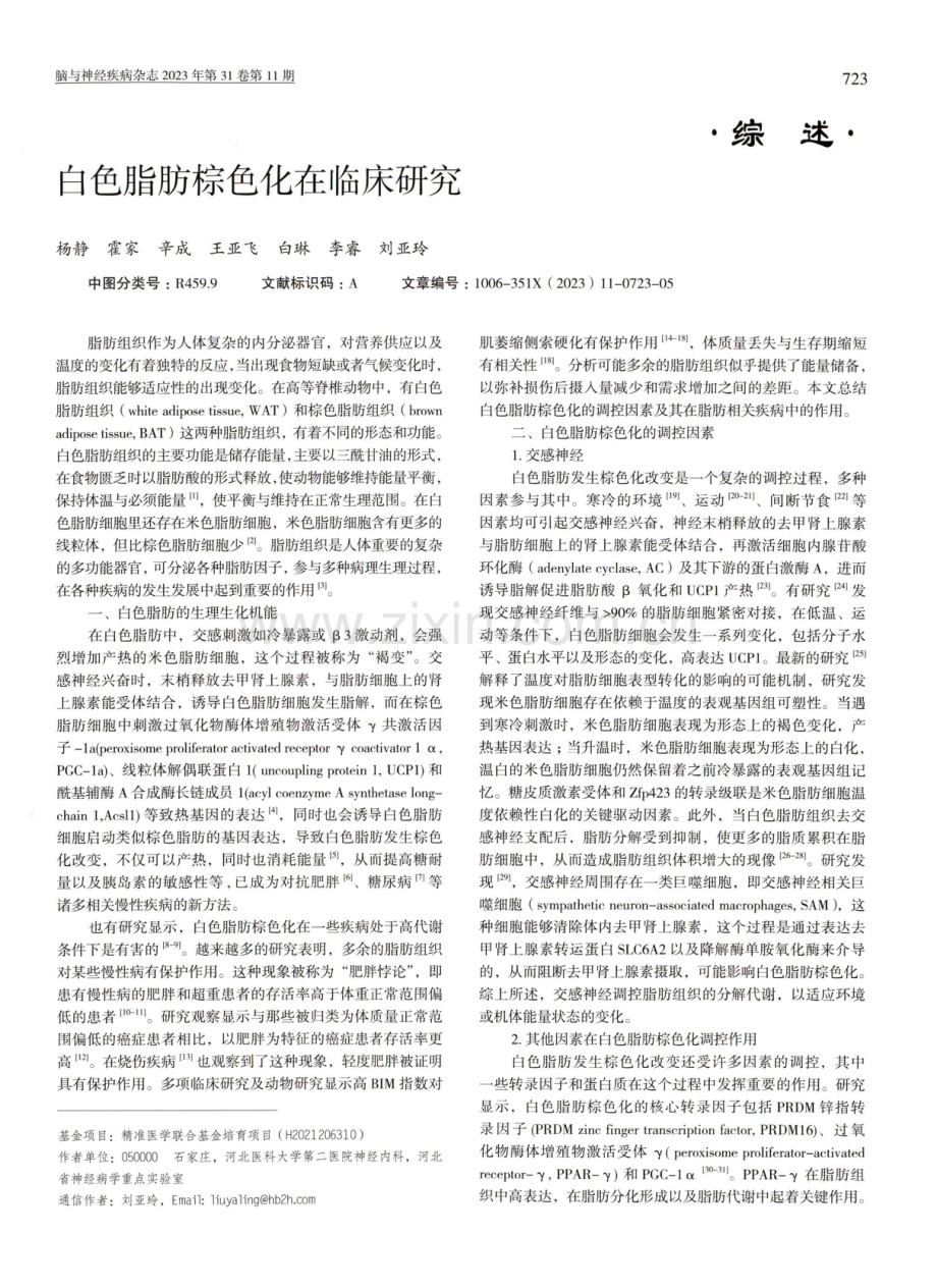 白色脂肪棕色化在临床研究.pdf_第1页