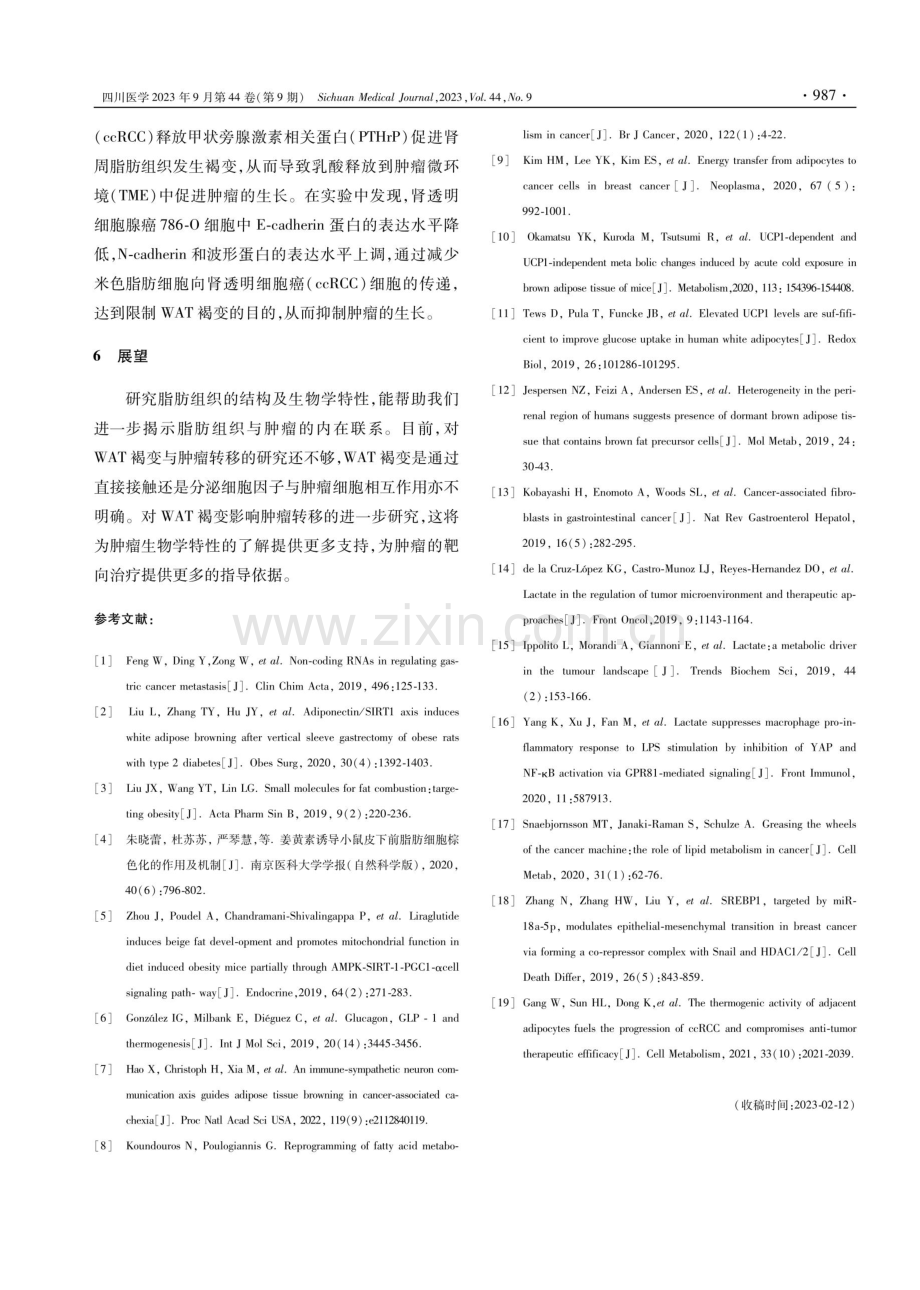 白色脂肪组织褐变与EMT在肿瘤转移中的研究进展.pdf_第3页