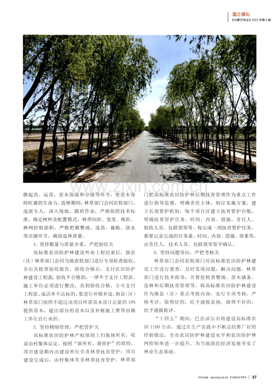 巴彦淖尔市河套灌区高标准农田防护林建设.pdf_第3页