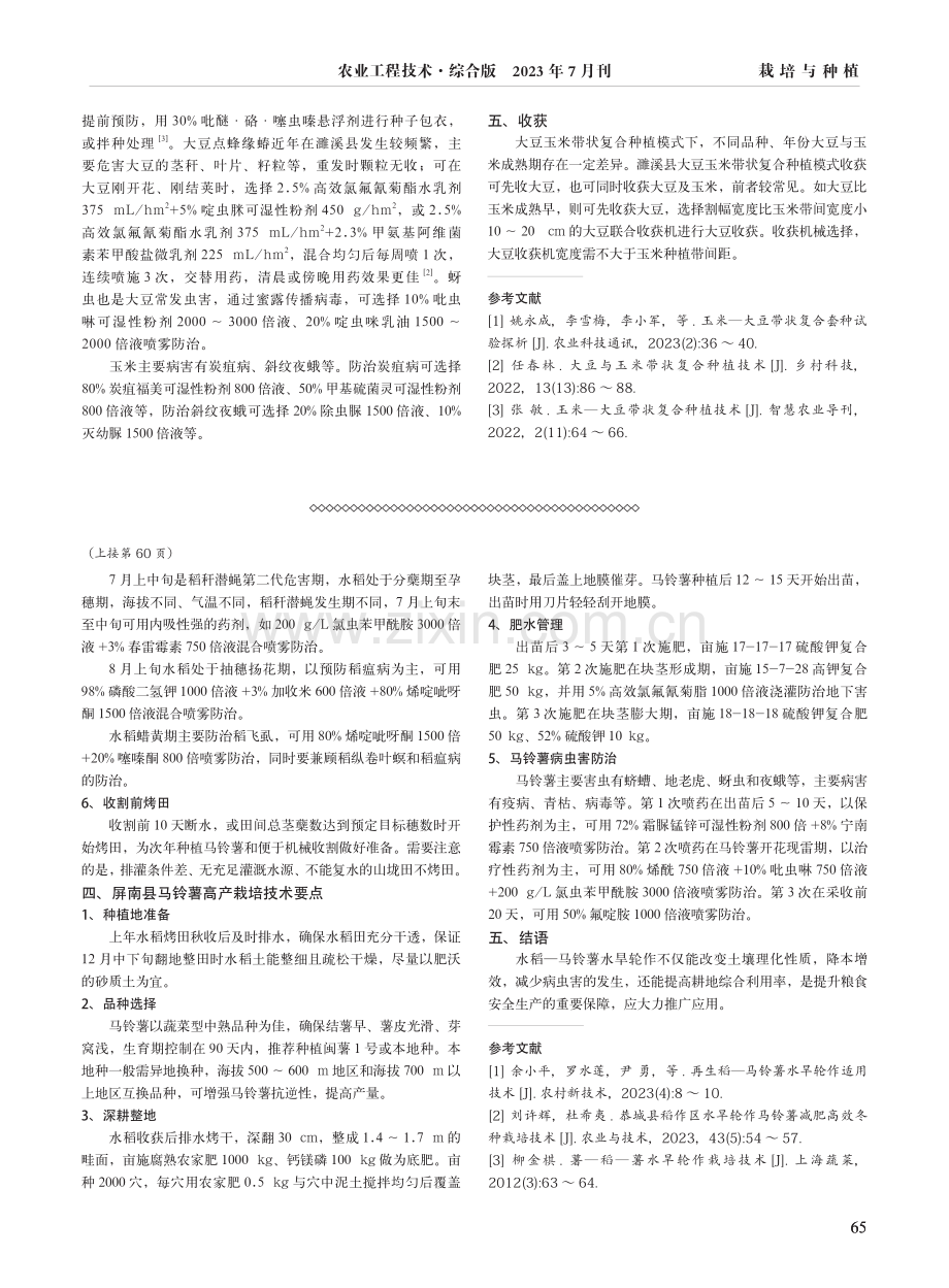 安徽濉溪县大豆玉米带状复合种植技术要点.pdf_第2页