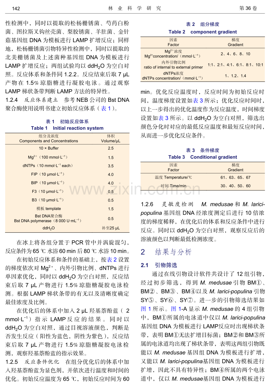 北美栅锈菌和松杨栅锈菌可视化检测体系建立.pdf_第3页