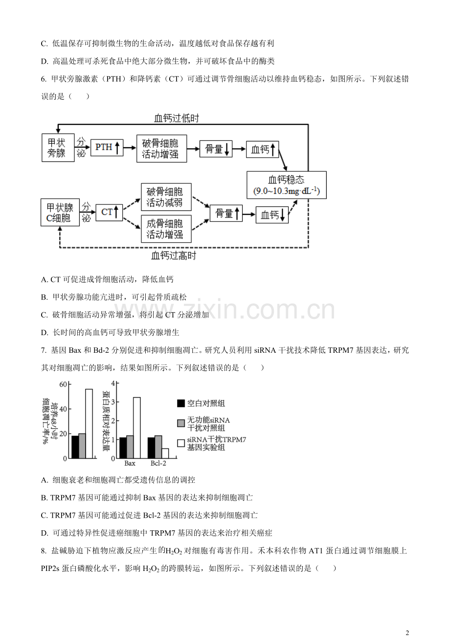 2023年新教材高考湖南卷生物（原卷版）.docx_第2页