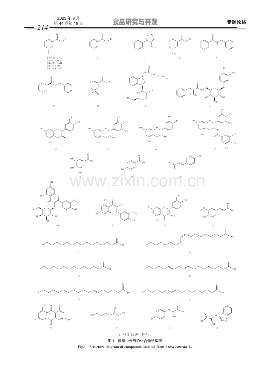 槟榔的化学成分及其功能活性研究进展.pdf_第3页