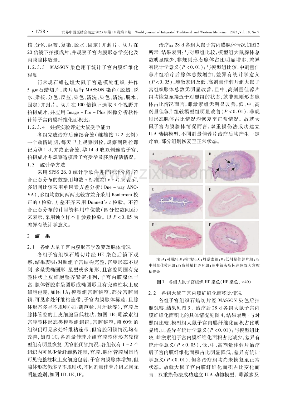 补肾中药佳蓉片治疗大鼠宫腔粘连的有效性研究.pdf_第3页