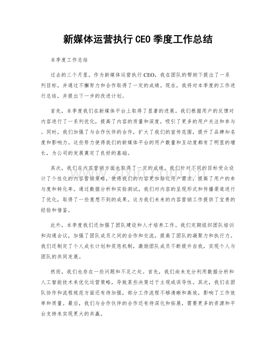 新媒体运营执行CEO季度工作总结.docx_第1页