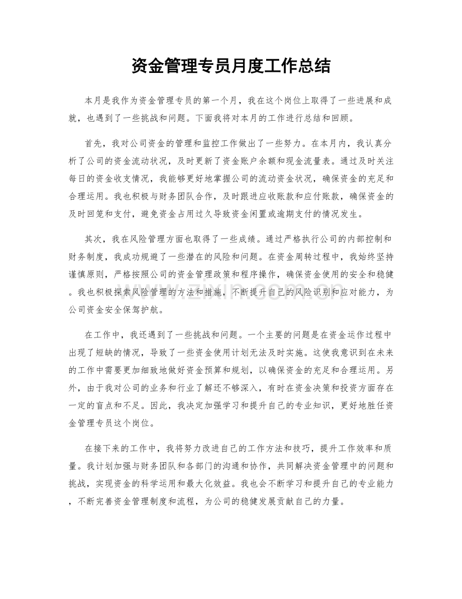 资金管理专员月度工作总结.docx_第1页