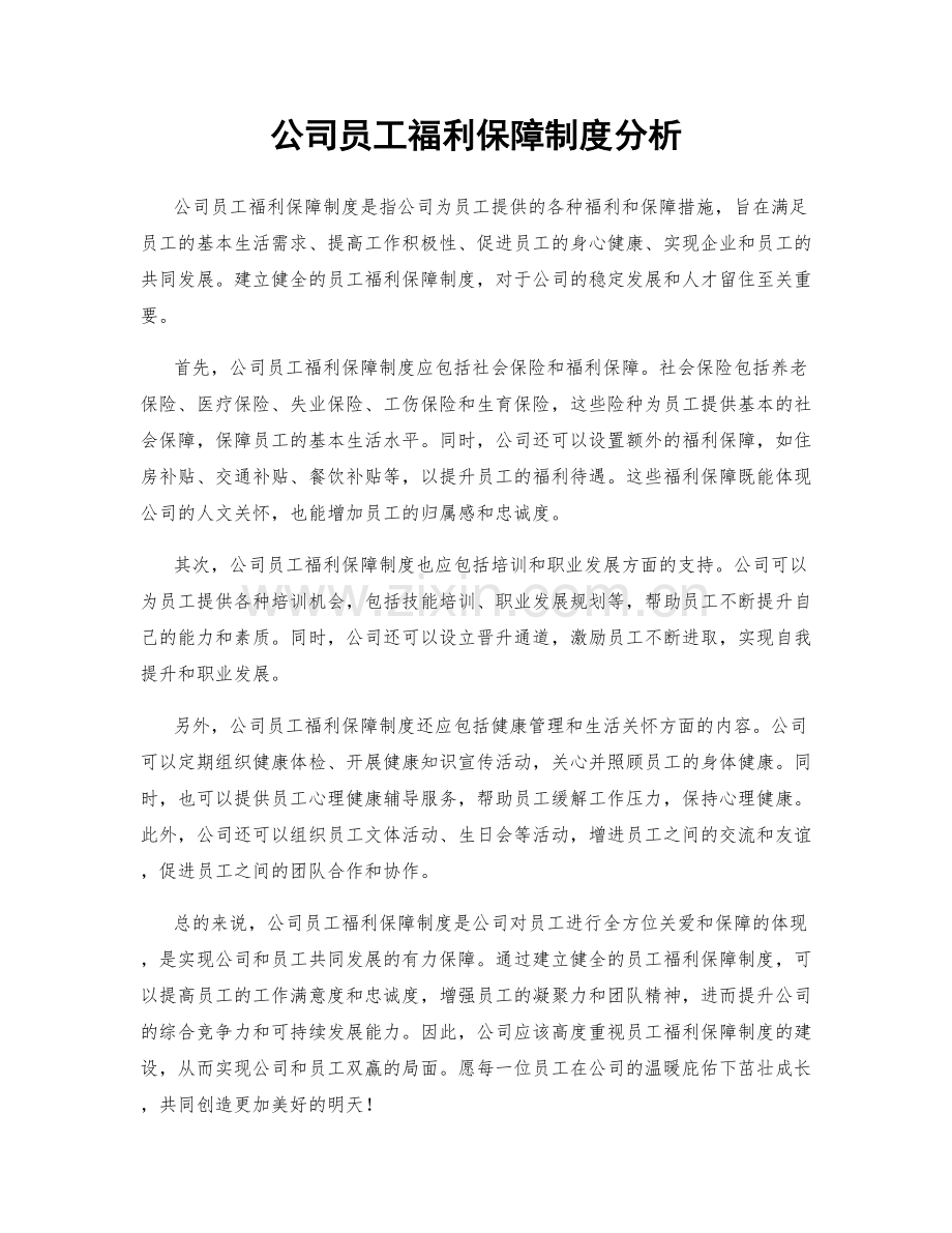 公司员工福利保障制度分析.docx_第1页