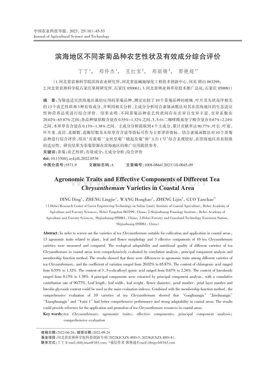 滨海地区不同茶菊品种农艺性状及有效成分综合评价.pdf_第1页