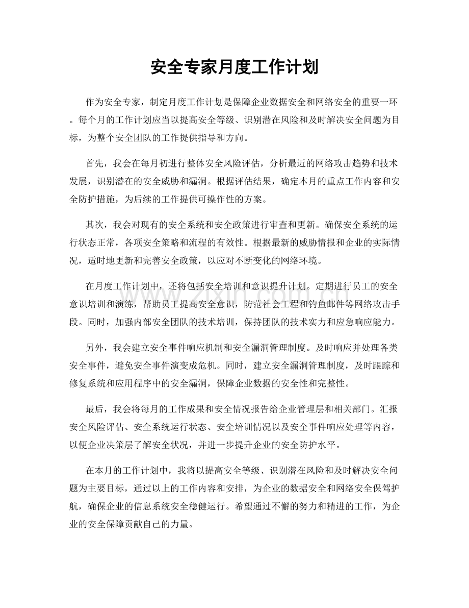 安全专家月度工作计划.docx_第1页