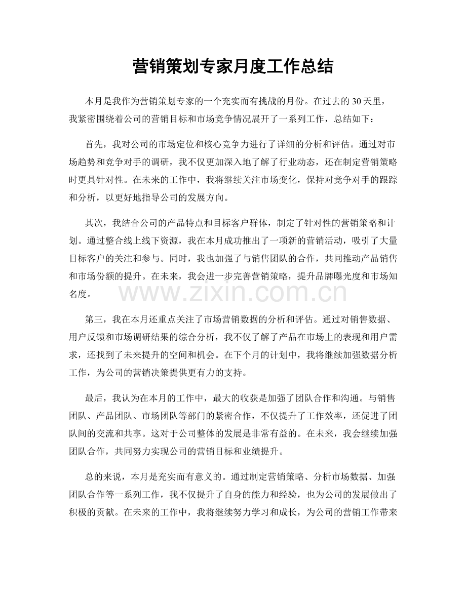 营销策划专家月度工作总结.docx_第1页