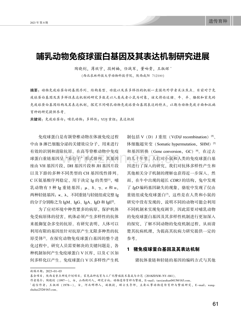 哺乳动物免疫球蛋白基因及其表达机制研究进展.pdf_第1页