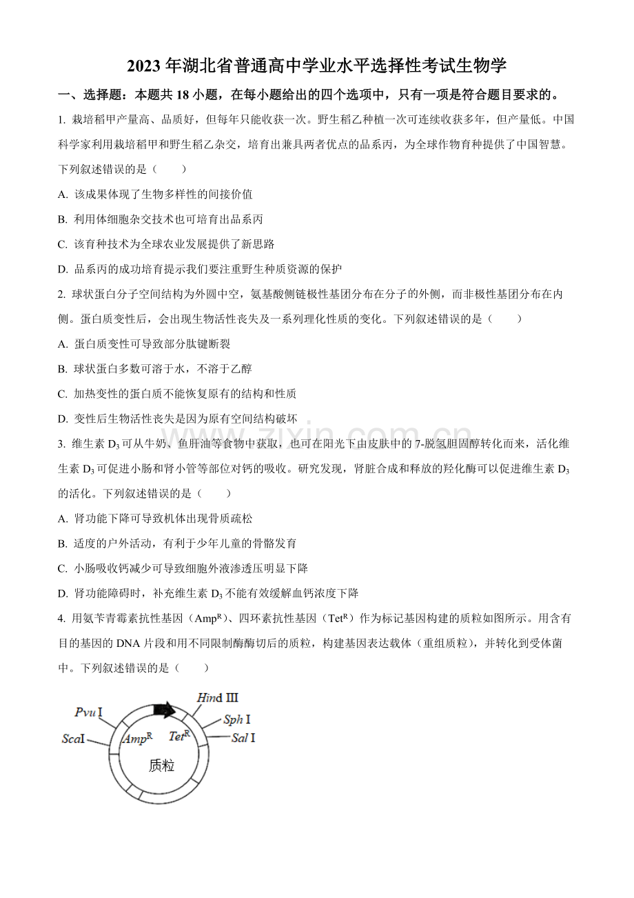 2023年新高考湖北高考生物真题（原卷版）.docx_第1页