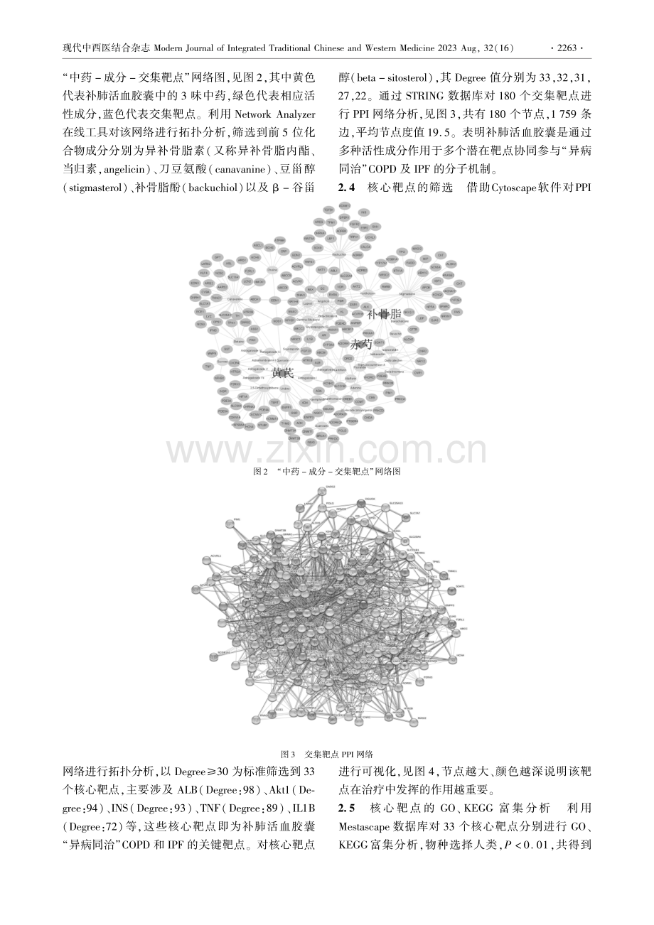 补肺活血胶囊“异病同治”慢性阻塞性肺疾病和特发性肺纤维化的机制探讨.pdf_第3页