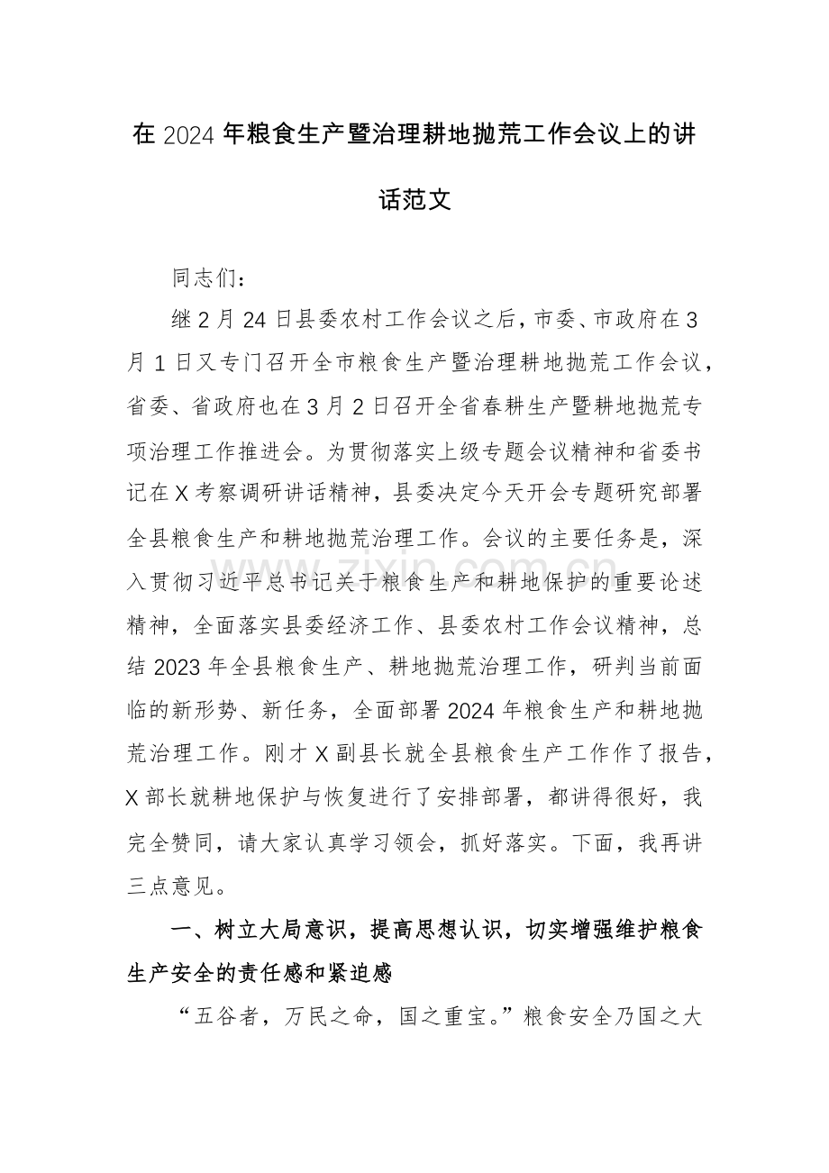 在2024年粮食生产暨治理耕地抛荒工作会议上的讲话范文.docx_第1页