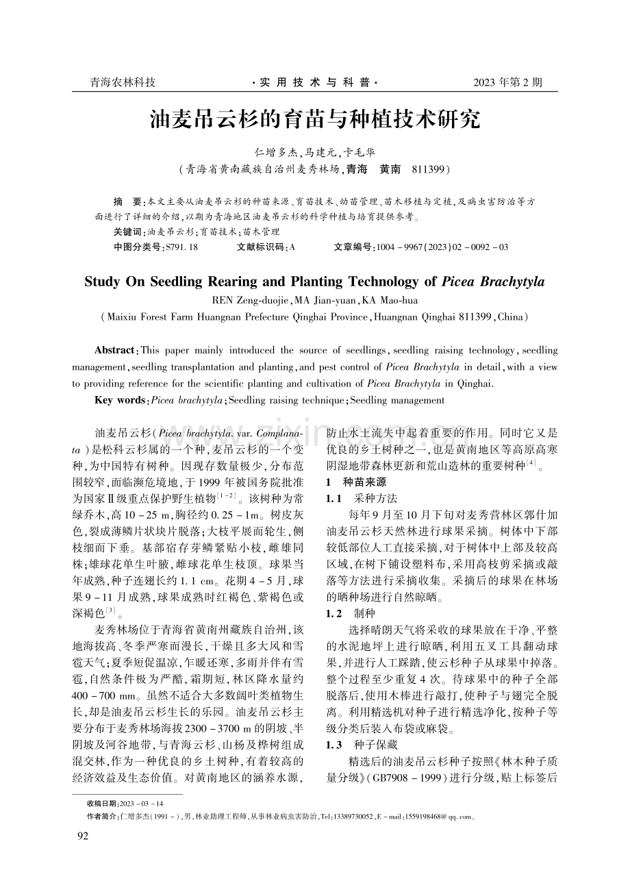 油麦吊云杉的育苗与种植技术研究.pdf_第1页