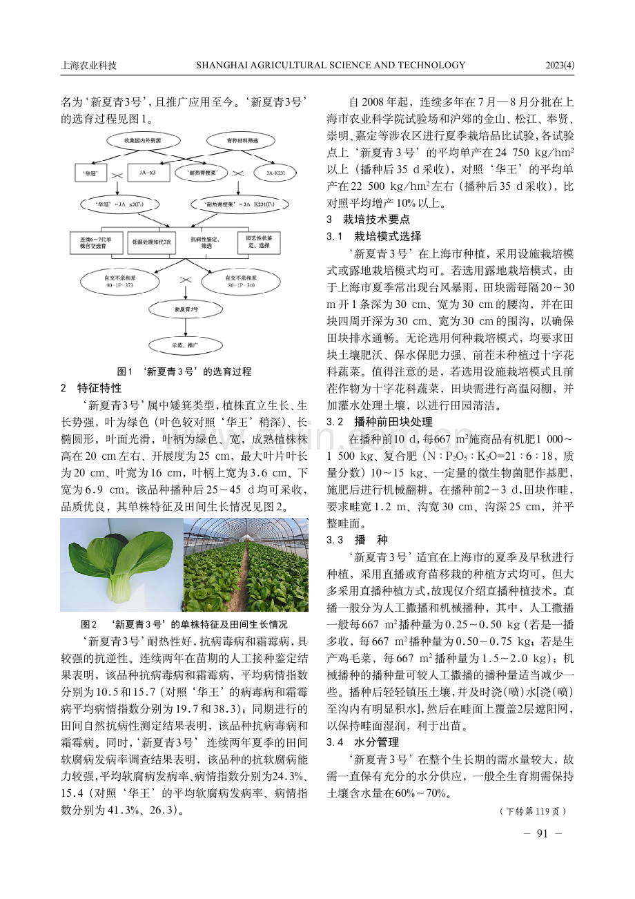 优质耐热青菜品种‘新夏青3号’的选育及栽培技术要点.pdf_第2页