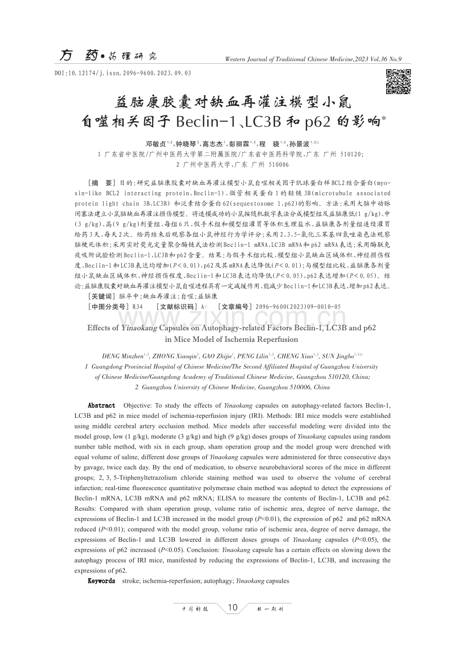 益脑康胶囊对缺血再灌注模型小鼠自噬相关因子Beclin-1、LC3B和p62的影响.pdf_第1页