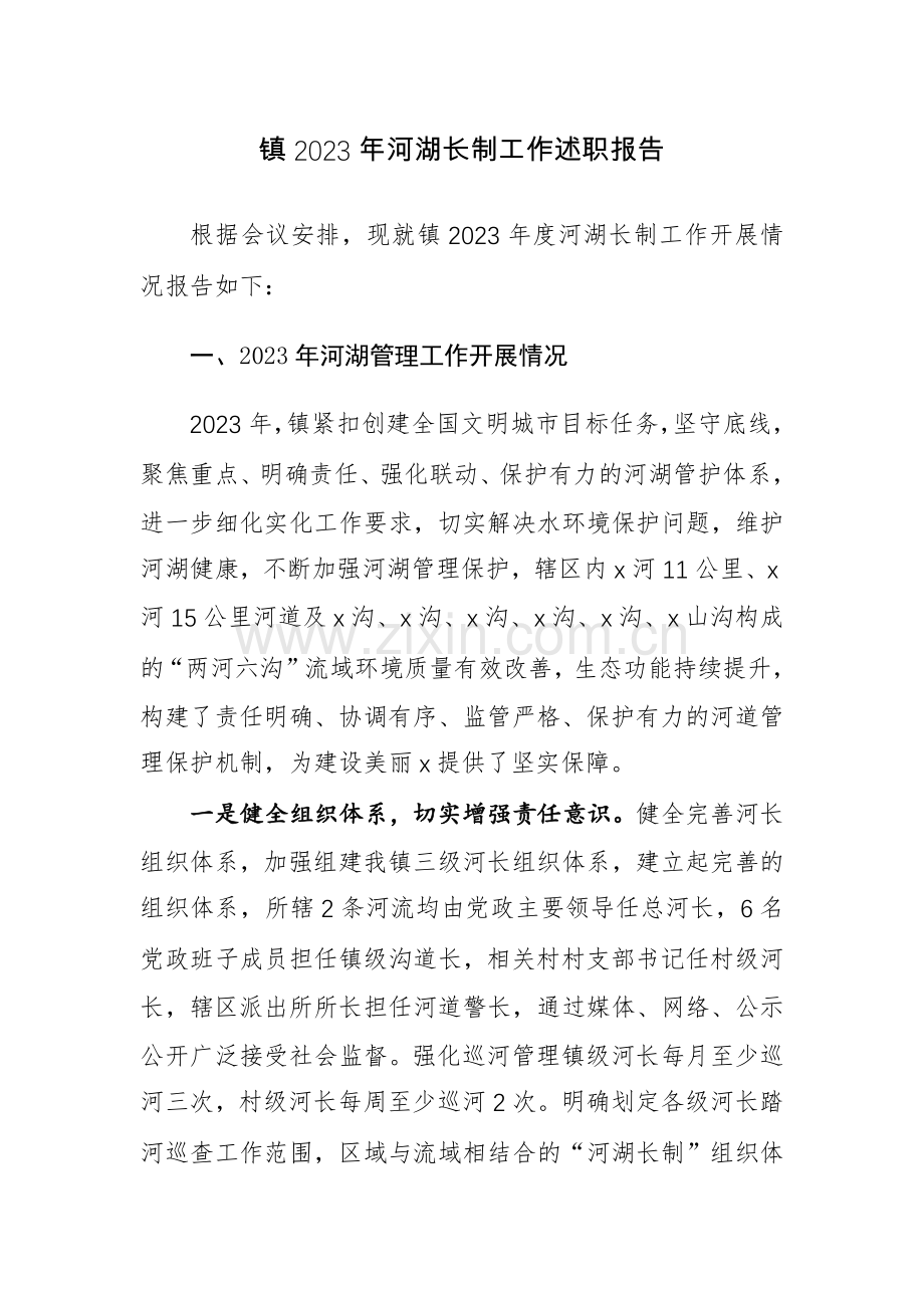 2023年河湖长制工作述职报告范文稿.docx_第1页