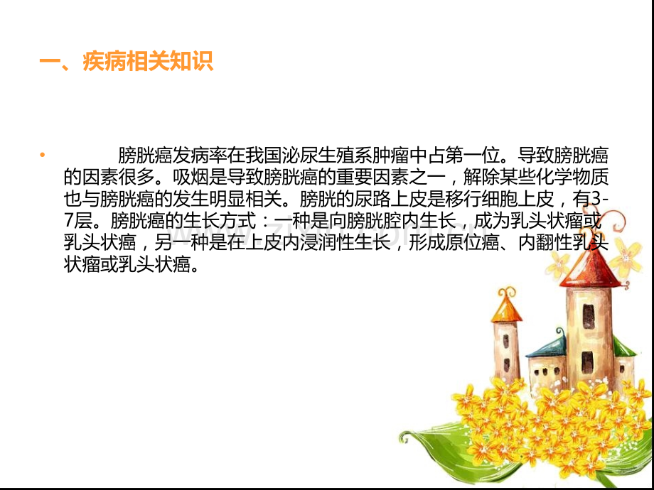 膀胱肿瘤的健康教育PPT课件.ppt_第2页