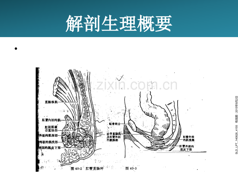 直肠肛管疾病.ppt_第3页