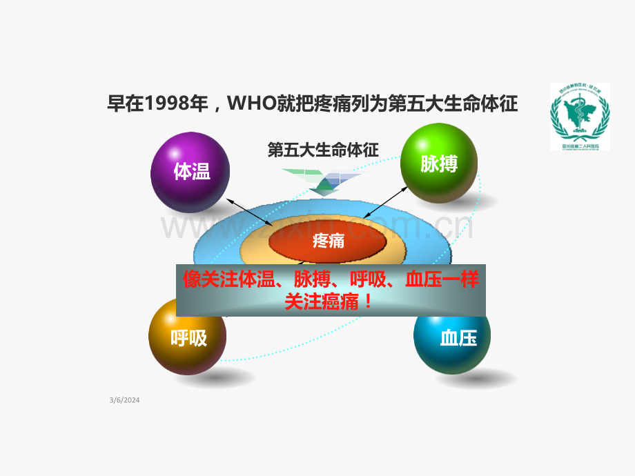 癌痛病例.ppt_第2页