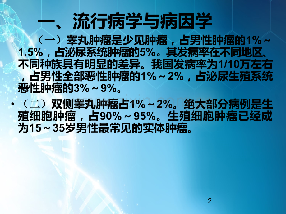 学习睾丸肿瘤诊断治疗.ppt_第2页