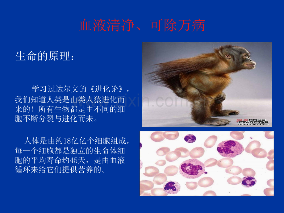 蚕丝竹罐泻血疗法.ppt_第2页